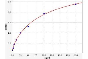 Receptor tyrosine-protein kinase erbB-2 (ErbB2/Her2) ELISA Kit