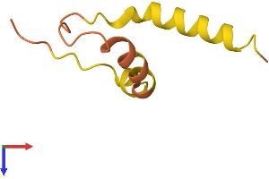 AlphaFold protein structure predicition of Mouse Recombinant Phxr1 Protein, UniprotID P15973