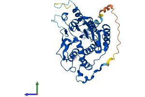 Protein Structure (PS) image for UDP-GlcNAc:betaGal beta-1,3-N-Acetylglucosaminyltransferase 3 (B3GNT3) (AA 1-372) protein (His tag) (ABIN7557467)