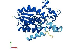 Protein Structure (PS) image for phosphoglycerate Mutase 2 (Muscle) (PGAM2) (AA 1-253) protein (His tag) (ABIN7562522)