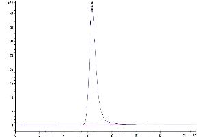Size-exclusion chromatography-High Pressure Liquid Chromatography (SEC-HPLC) image for Nectin cell adhesion molecule 3 (NECTIN3) (AA 58-400) protein (His-Avi Tag,Biotin) (ABIN7275312)