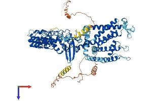 TRPV6 Protein (AA 1-765) (His tag)