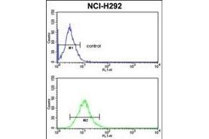 C Antibody (N-term) (ABIN389410 and ABIN2839497) flow cytometric analysis of NCI- cells (bottom histogram) compared to a negative control cell (top histogram).