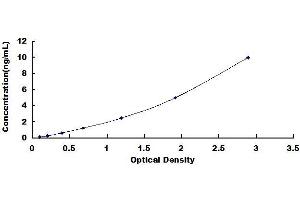 Mesothelin ELISA Kit