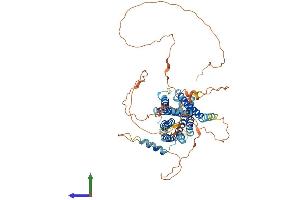 Protein Structure (PS) image for G Protein-Coupled Receptor 162 (GPR162) (AA 1-588) protein (His tag) (ABIN7557237)