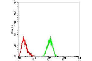 Flow Cytometry (FACS) image for anti-Aldehyde Dehydrogenase 6 Family, Member A1 (ALDH6A1) (AA 1-195) antibody (ABIN5856297) (ALDH6A1 Antikörper  (AA 1-195))