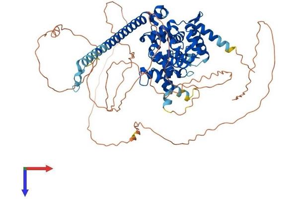 TBC1D14 Protein (AA 1-693) (His tag)