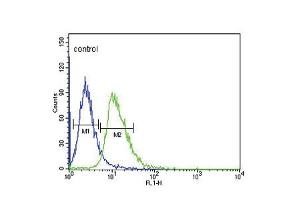 Flow cytometric analysis of CEM cells (right histogram) compared to a negative control cell (left histogram). (DRD4 Antikörper  (AA 365-391))