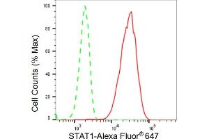 Flow cytometric analysis of STAT1 expression in HeLa cells using STAT1 antibody (ABIN7800336), 1:2,000). (Rekombinanter STAT1 Antikörper)