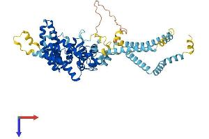 ST7 Protein (AA 1-577) (His tag)