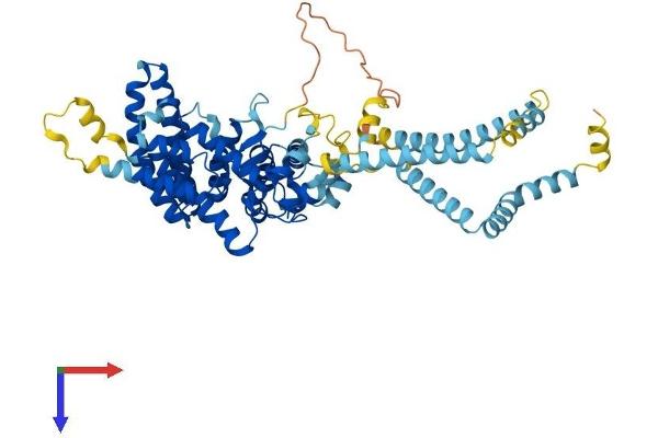 ST7 Protein (AA 1-577) (His tag)