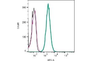 Cell surface detection of KCNK13 by indirect flow cytometry in live intact mouse  microglia cell line: + goat-anti-rabbit-APC. (KCNK13 Antikörper  (Extracellular))