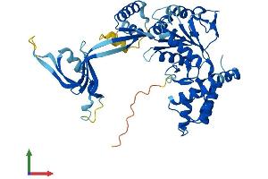 Protein Structure (PS) image for RuvB-Like 1 (E. Coli) (RUVBL1) (AA 1-456) protein (His tag) (ABIN7563487)