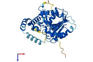 LDAH/C2orf43 Protein (AA 1-325) (His tag)