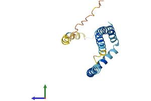 Protein Structure (PS) image for FUN14 Domain Containing 1 (FUNDC1) (AA 1-155) protein (His tag) (ABIN7561263)