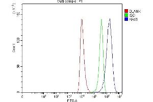 Flow Cytometry analysis of HEL cells using anti-HAX1 antibody (ABIN7599208).