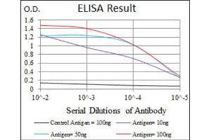 Red: Control Antigen (100ng) ; Purple: Antigen (10ng) ; Green: Antigen (50ng) ; Blue: Antigen (100ng). (DLL4 Antikörper)
