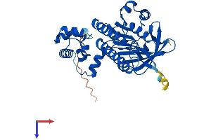 DMC1 Protein (AA 1-340) (His tag)