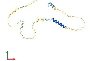 Protein Structure (PS) image for Immediate Early Response 3 (IER3) (AA 1-156) protein (His tag) (ABIN7548445)