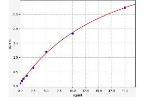 Typical standard curve (IGF1R ELISA Kit)