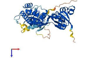 OLA1 Protein (AA 1-396) (His tag)