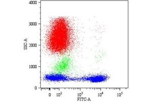 Flow Cytometry (FACS) image for anti-CD5 (CD5) antibody (ABIN238398) (CD5 Antikörper)