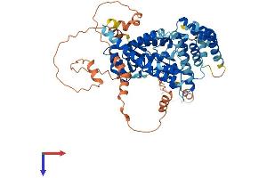 ADCK2 Protein (AA 1-617) (His tag)