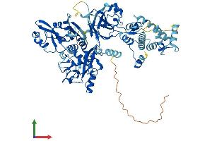 Protein Structure (PS) image for Calpain 11 (CAPN11) (AA 1-739) protein (His tag) (ABIN7552996)