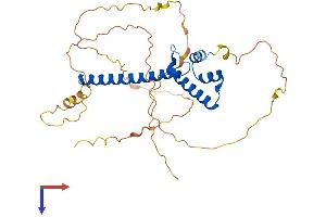 NEUROD6 Protein (AA 1-337) (His tag)