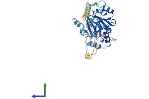 Protein Structure (PS) image for Snurportin 1 (SNUPN) (AA 1-360) protein (His tag) (ABIN7546228)