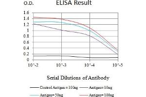 Black line: Control Antigen (100 ng),Purple line: Antigen (10 ng), Blue line: Antigen (50 ng), Red line:Antigen (100 ng) (CD45 Antikörper  (AA 378-577))
