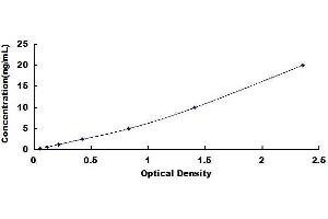 Typical standard curve