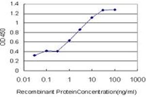 Detection limit for recombinant GST tagged BMP2K is approximately 0. (BMP2K Antikörper  (AA 540-650))