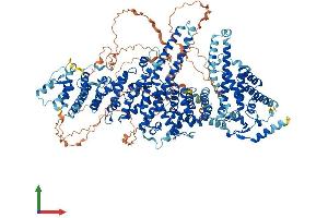 Protein Structure (PS) image for Ubiquitin Conjugation Factor E4 B (UBE4B) (AA 1-1302) protein (His tag) (ABIN7555906)
