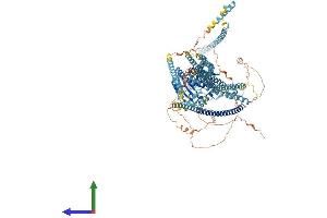 AlphaFold protein structure predicition of Mouse Recombinant Kif4 Protein, UniprotID P33174
