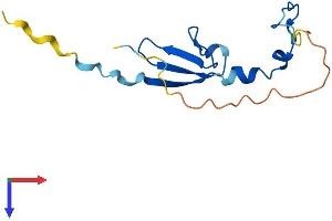 eIF4EBP2 Protein (AA 1-120) (His tag)