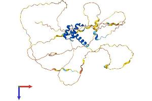 HOXD3 Protein (AA 1-432) (His tag)