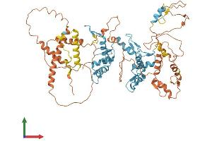 AlphaFold protein structure predicition of Human Recombinant ZNF233 Protein, UniprotID A6NK53