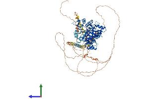 AlphaFold protein structure predicition of Mouse Recombinant Ttll6 Protein, UniprotID A4Q9E8