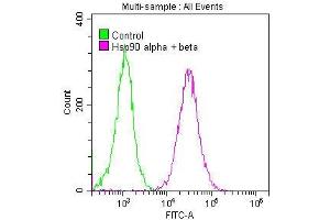 Overlay histogram showing Jurkat cells stained with ABIN7127555 (red line) at 1:50.