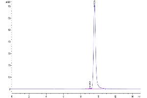 Size-exclusion chromatography-High Pressure Liquid Chromatography (SEC-HPLC) image for Lipocalin 2 (LCN2) (AA 21-198) protein (His tag) (ABIN7275319)