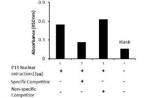 Activity Assay (AcA) image for SRY (Sex Determining Region Y)-Box 2 (SOX2) ELISA Kit (ABIN5526732)