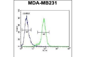 Flow cytometric analysis of MDA-MB231 cells (right histogram) compared to a negative control cell (left histogram). (PDE12 Antikörper  (C-Term))