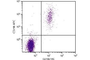 Human peripheral blood lymphocytes were stained with Mouse Anti-Human CD79b-APC. (CD79b Antikörper  (APC))