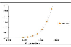 Standard Curve Graph