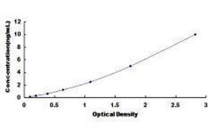 ELISA image for Peroxisome Proliferator-Activated Receptor delta (PPARD) ELISA Kit (ABIN425262)