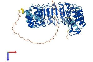 AlphaFold protein structure predicition of Human Recombinant LRRC31 Protein, UniprotID Q6UY01 (LRRC31 Protein (AA 1-552) (His tag))