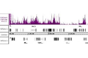 Histone H3K9me0 Antibody (rAb) tested by ChIP-Seq.