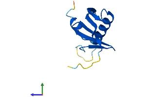 Protein Structure (PS) image for Late Endosomal/lysosomal Adaptor, MAPK and mTOR Activator 4 (LAMTOR4) (AA 1-99) protein (His tag) (ABIN7549083)