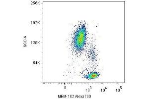 Surface staining of human peripheral blood cells with anti-CD48 (MEM-102) Alexa Fluor® 700. (CD48 Antikörper  (FITC))